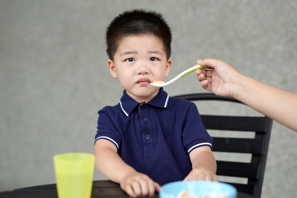 dietetics - fussy eater